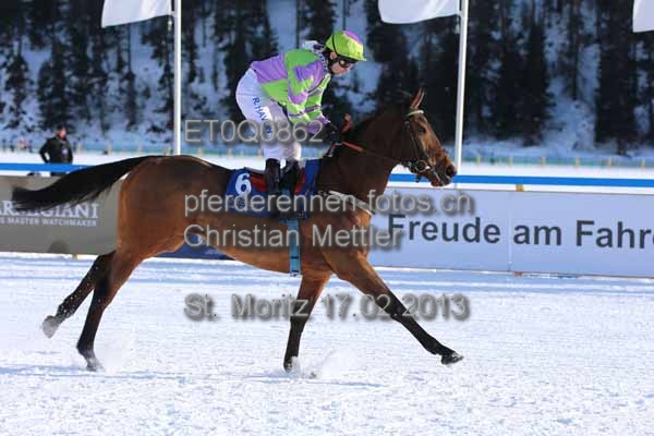 ET0Q0862 prot